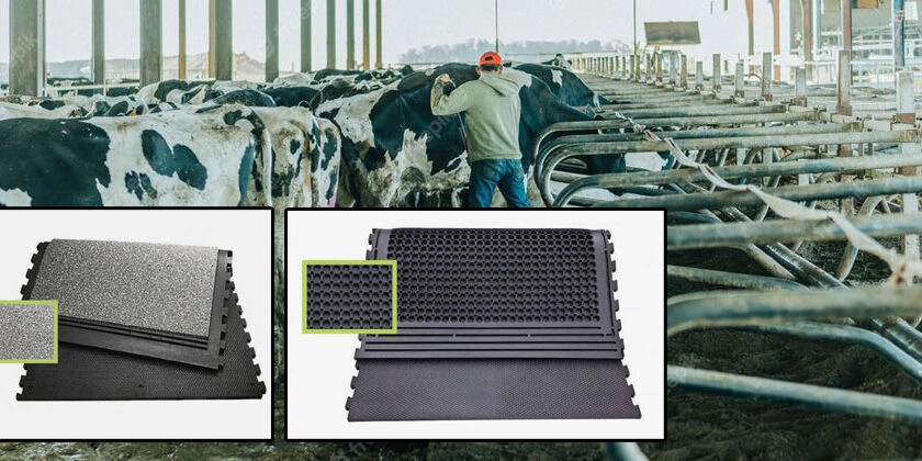 Cow Rubber Mats